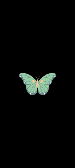 Single Green Butterfly Oneplus 9r Wallpaper