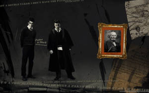 Sirius Black Young Wallpaper