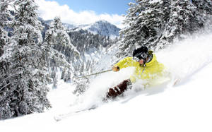 Skiing Diving In Snow Wallpaper