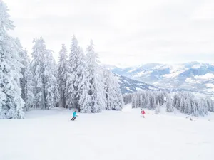 Skiing Evergreen Mountain Wallpaper