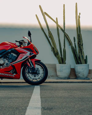 Sleek And Stylish - Honda's Red Motorcycle Wallpaper