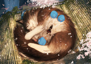 Sleeping Brown Anime Cat Wallpaper