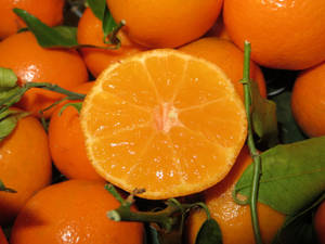 Sliced Clementine Citrus Fruit Top View Wallpaper