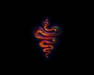 Slithery Orange Purple Snake Wallpaper