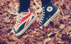 Sneaker Chuck Taylor On Brown Leaves Wallpaper