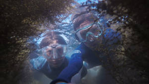 Snorkeling Coral Reef Selfie Wallpaper