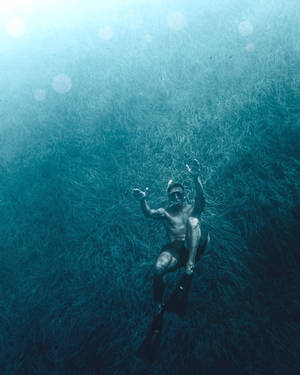 Snorkeling Deep Underwater Grass Wallpaper