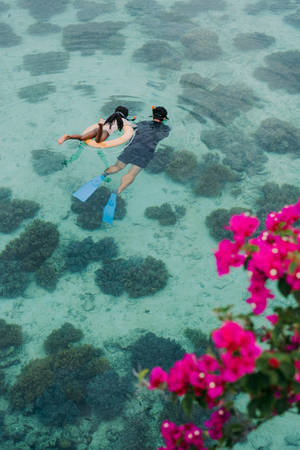Snorkeling Father And Daughter Activity Wallpaper