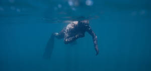 Snorkeling In The Deep Blue Ocean Wallpaper
