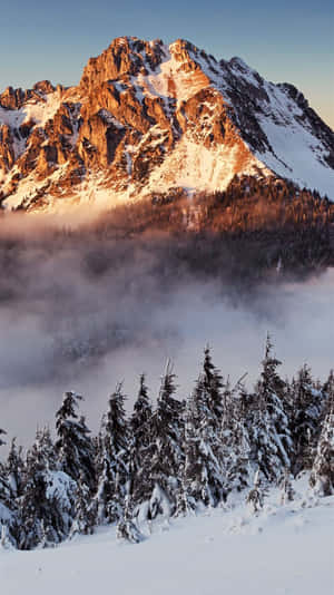 Snow Covered Mount Kilimanjaro Wallpaper