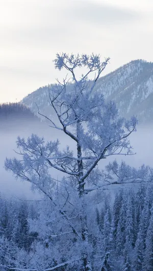 Snow-covered Mountain View On A Perfect Winter Day Wallpaper