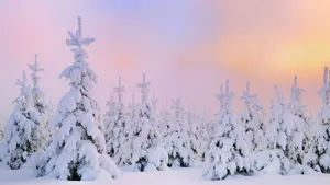 Snow Desktop Frozen Trees And Pastel Clouds Wallpaper