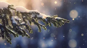 Snow Pine Tree Christmas Aesthetic Computer Wallpaper