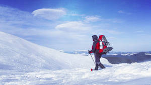 Snowshoeing Blue Sky Wallpaper