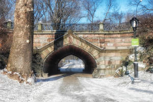 Snowy Central Park Wallpaper