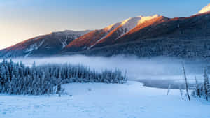 Snowy Day, Perfect For Snuggling With A Laptop Wallpaper