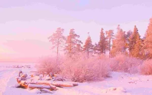 Snowy Landscape Pastel Pink Aesthetic Computer Wallpaper