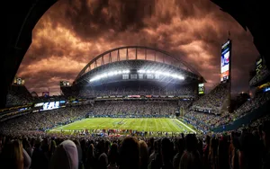 Soccer Fans Celebrate A Score At The Stadium Wallpaper