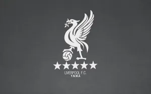 Soccer Passion - Liverpool Fc Wallpaper