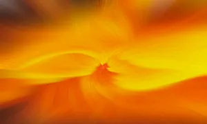 Soft And Sunny Light Orange Wallpaper