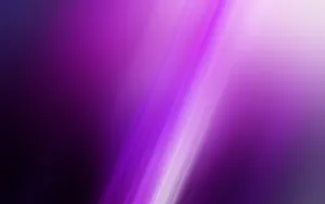 Soft Hues Of White And Purple Wallpaper