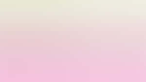 Soft Solid Pink Textured Wall Wallpaper