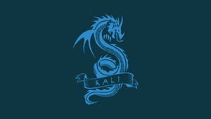 Solarized Dragon Kali Linux Hd Wallpaper