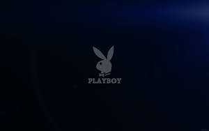 Solid Dark Blue Playboy Logo Wallpaper