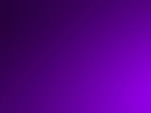 Solid Dark Purple Wallpaper
