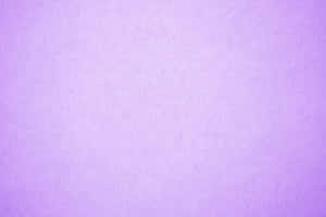 Solid Light Purple Vibes Wallpaper