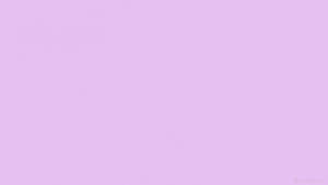 Solid Pastel Lavender Wallpaper