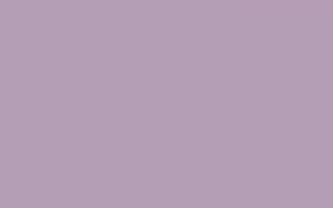 Solid Pastel Mauve Wallpaper