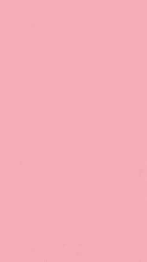 Solid Pink Background Wallpaper