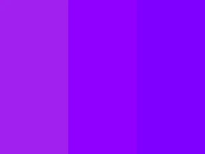 Solid Purple Shades Wallpaper