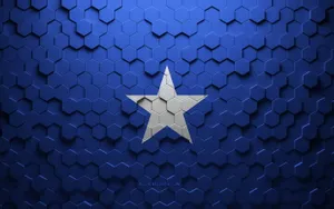Somalia Octagon Texture Wallpaper