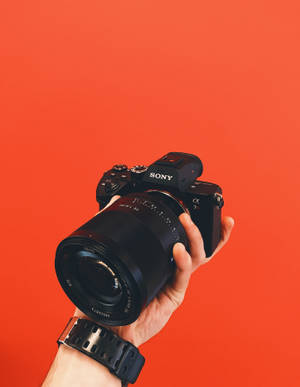 Sony Alpha Dslr Camera Wallpaper