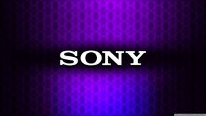 Sony Purple And Blue Wallpaper