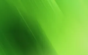 Soothing Green Abstract Art Wallpaper