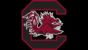 South Carolina Gamecocks Black Canvas Logo Wallpaper
