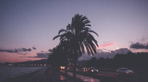 Spain Palma Road Night Aesthetic Wallpaper