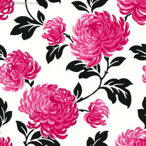 Spectacular Pink And Black Color Contrast. Wallpaper