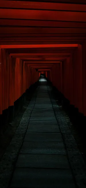 Spectacular Skyline At Night In Tokyo, Japan Wallpaper