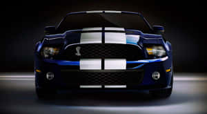 Speed Thrills Wallpaper