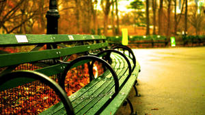 Spend Some Time To Relax In The Green Park Bench Wallpaper