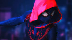 Spider Man Into The Spider Verse Wallpaper