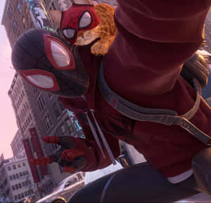 Spidey Selfie Man With Cat Wallpaper