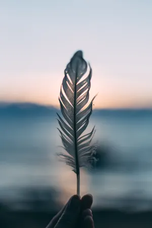 Spiritual White Feather Wallpaper