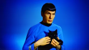 Spock With Black Cat Wallpaper