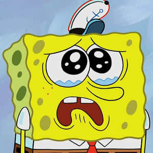 Spongebob Crying Wearing A Sailor Hat Wallpaper