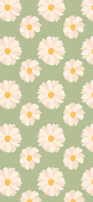 Spring Daisy Iphone Green Background Wallpaper